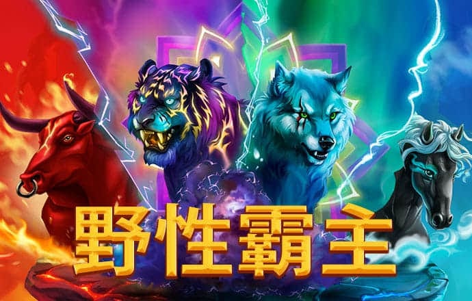 新利体育官网